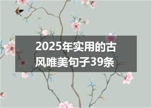 2025年实用的古风唯美句子39条