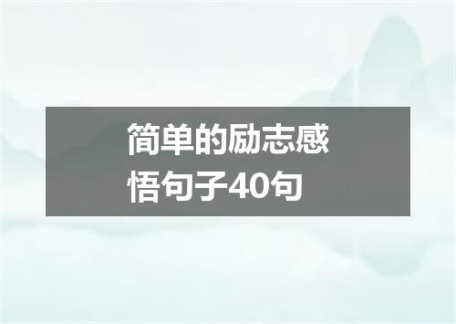 简单的励志感悟句子40句
