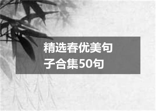 精选春优美句子合集50句