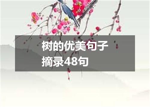 树的优美句子摘录48句