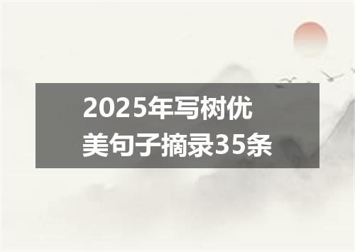2025年写树优美句子摘录35条