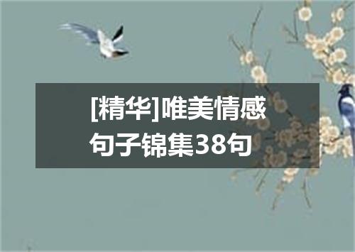 [精华]唯美情感句子锦集38句