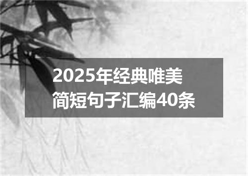 2025年经典唯美简短句子汇编40条