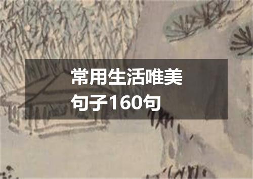常用生活唯美句子160句
