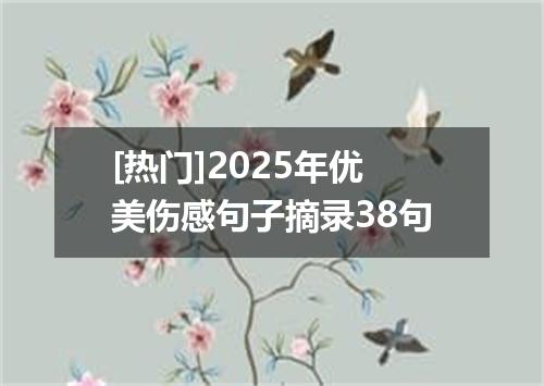 [热门]2025年优美伤感句子摘录38句