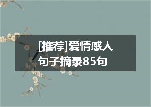 [推荐]爱情感人句子摘录85句