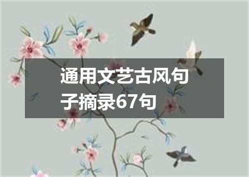 通用文艺古风句子摘录67句