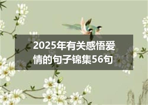 2025年有关感悟爱情的句子锦集56句