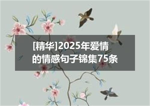 [精华]2025年爱情的情感句子锦集75条