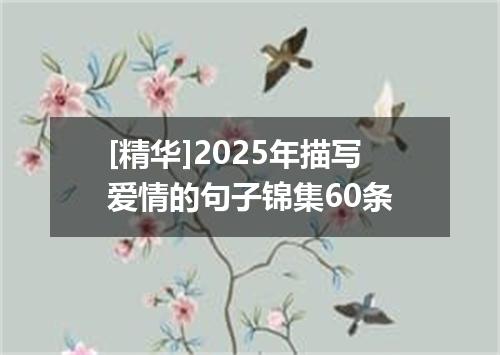 [精华]2025年描写爱情的句子锦集60条