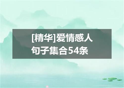 [精华]爱情感人句子集合54条
