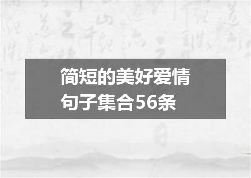 简短的美好爱情句子集合56条