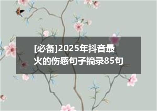 [必备]2025年抖音最火的伤感句子摘录85句