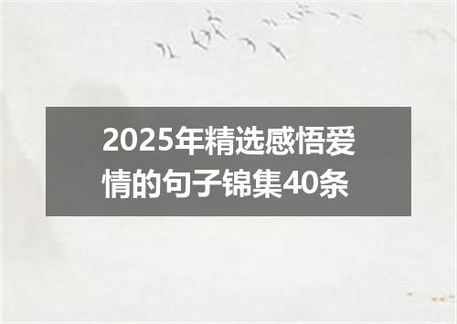 2025年精选感悟爱情的句子锦集40条