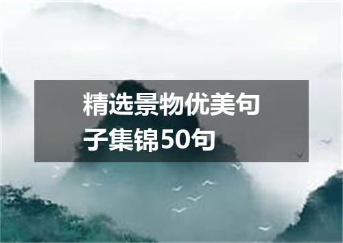 精选景物优美句子集锦50句