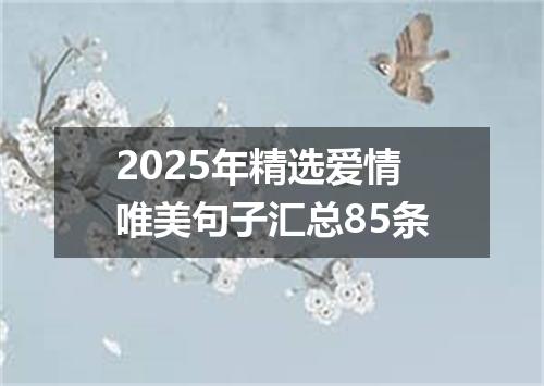 2025年精选爱情唯美句子汇总85条