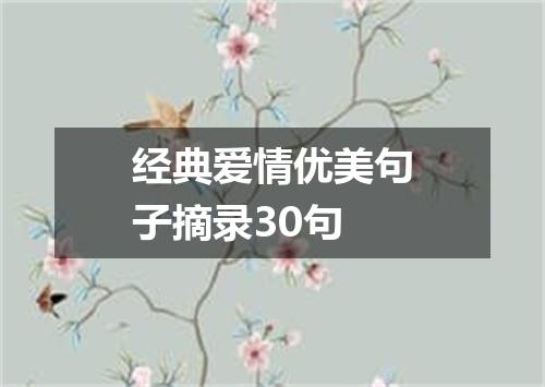 经典爱情优美句子摘录30句