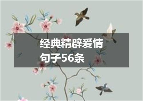经典精辟爱情句子56条