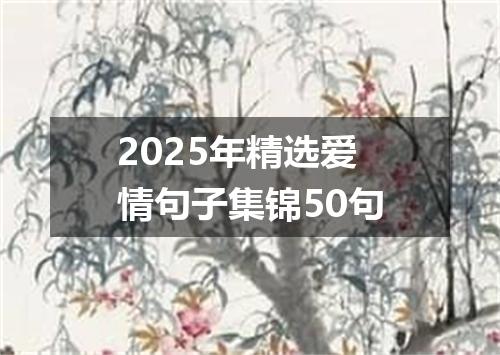2025年精选爱情句子集锦50句