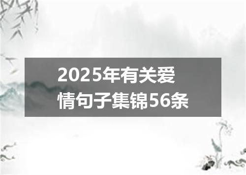 2025年有关爱情句子集锦56条