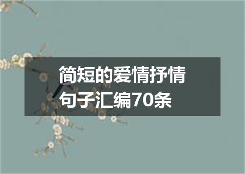 简短的爱情抒情句子汇编70条