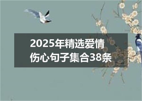 2025年精选爱情伤心句子集合38条