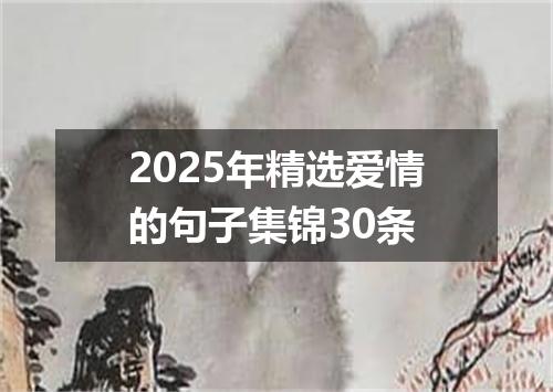 2025年精选爱情的句子集锦30条