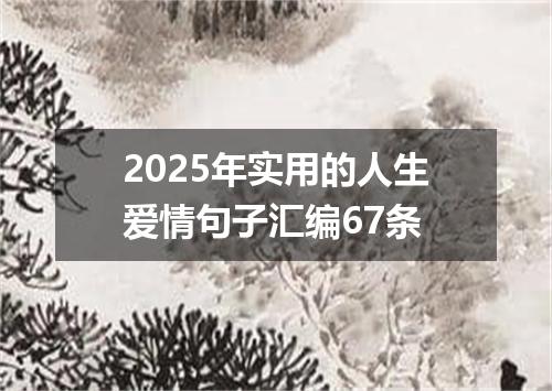 2025年实用的人生爱情句子汇编67条