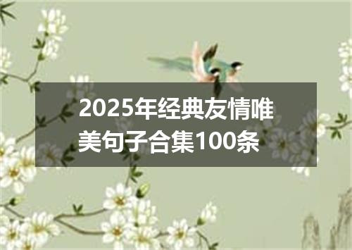 2025年经典友情唯美句子合集100条