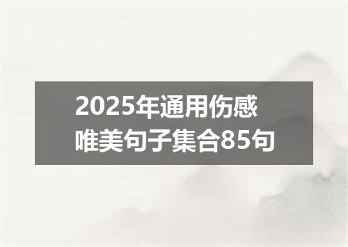 2025年通用伤感唯美句子集合85句