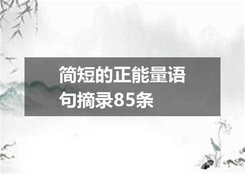 简短的正能量语句摘录85条
