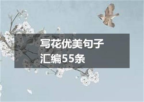 写花优美句子汇编55条