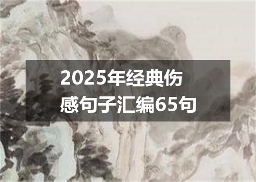 2025年经典伤感句子汇编65句
