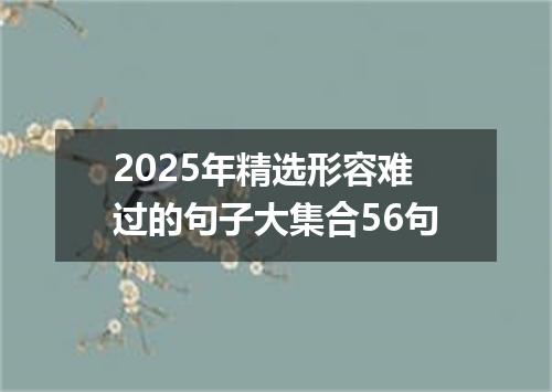 2025年精选形容难过的句子大集合56句