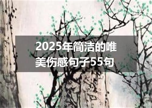 2025年简洁的唯美伤感句子55句