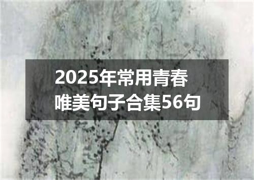2025年常用青春唯美句子合集56句
