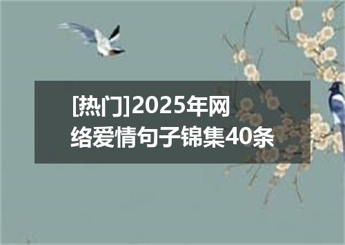[热门]2025年网络爱情句子锦集40条