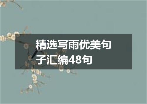 精选写雨优美句子汇编48句
