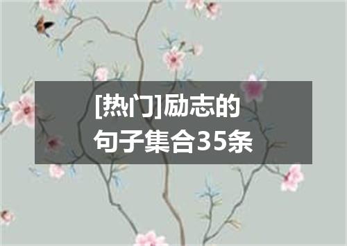 [热门]励志的句子集合35条