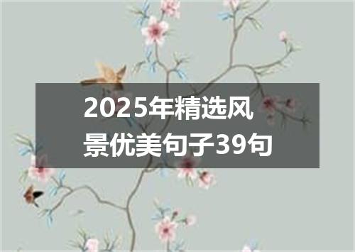 2025年精选风景优美句子39句