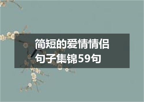 简短的爱情情侣句子集锦59句