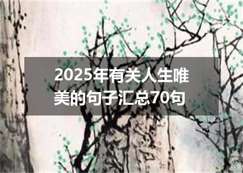 2025年有关人生唯美的句子汇总70句