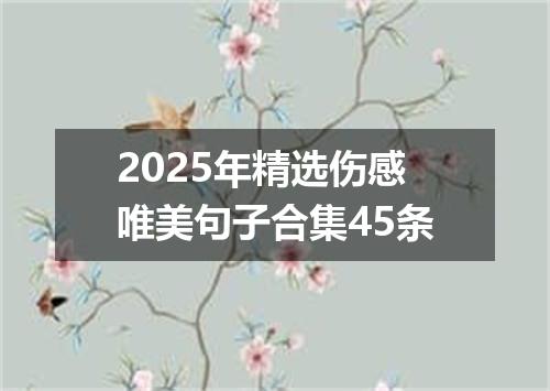 2025年精选伤感唯美句子合集45条