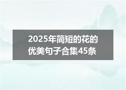 2025年简短的花的优美句子合集45条