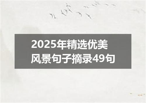 2025年精选优美风景句子摘录49句