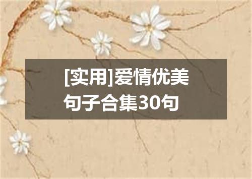 [实用]爱情优美句子合集30句