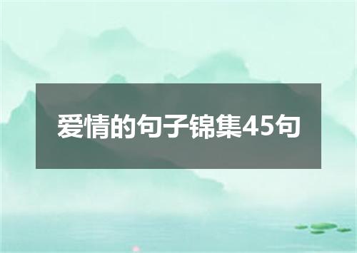 爱情的句子锦集45句