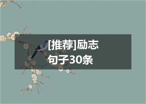 [推荐]励志句子30条