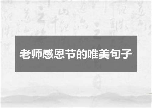老师感恩节的唯美句子