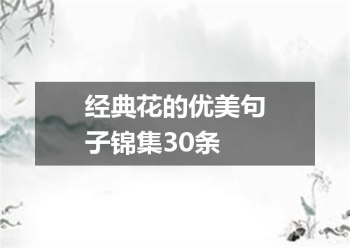 经典花的优美句子锦集30条